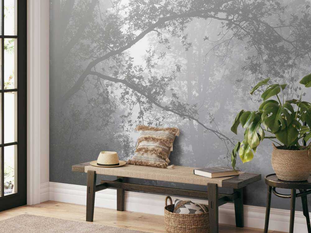 Una bella foresta nella nebbia