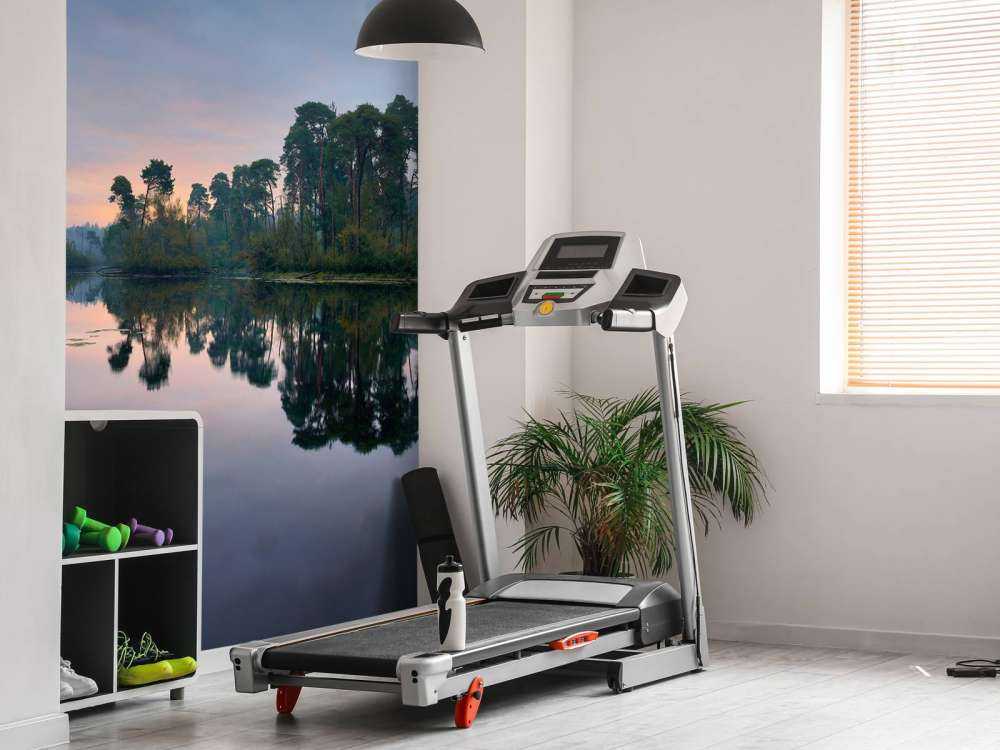 Riflessione nelle foreste all'alba