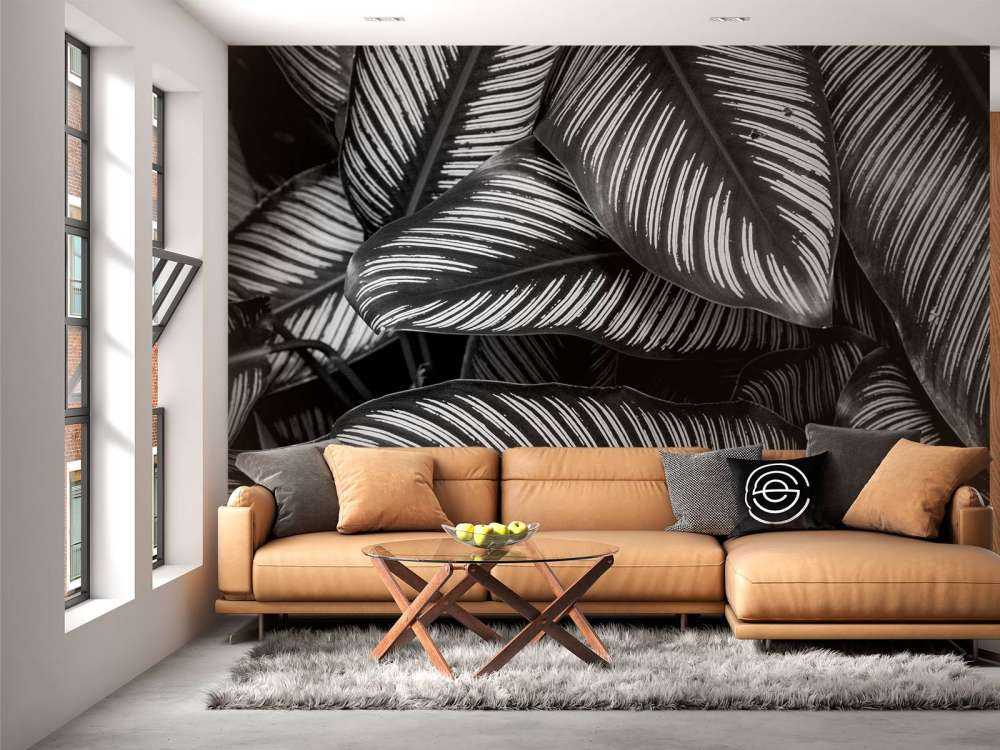 Foglie di palma bianche e nere