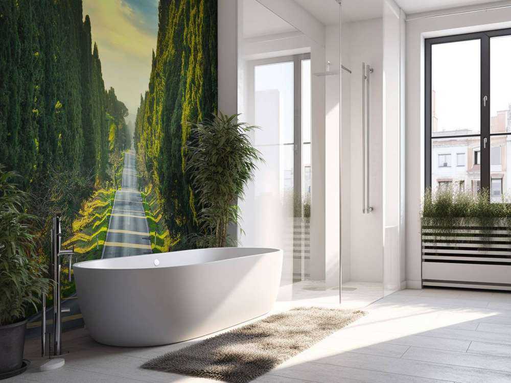 Strada con alberi ad alto fusto