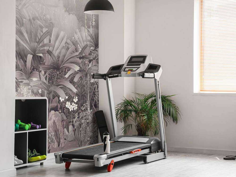 Mattina nel Giardino Tropicale Viola