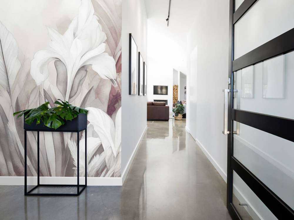 Iris all'alba arancione