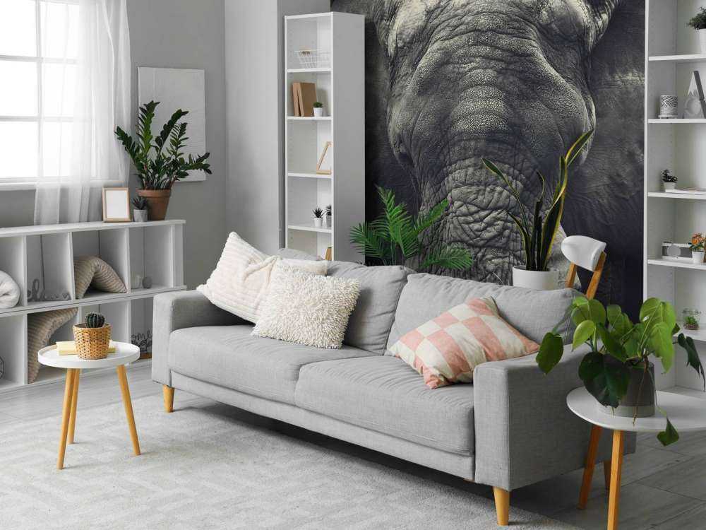 Primo piano di un elefante