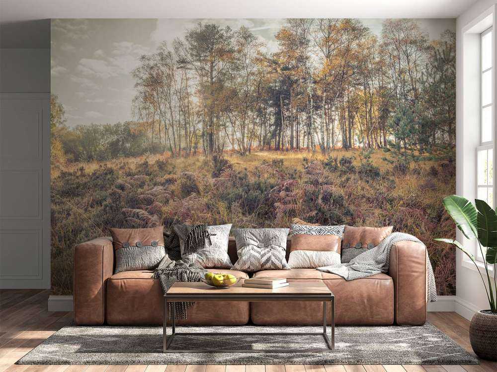 La foresta durante la mattina