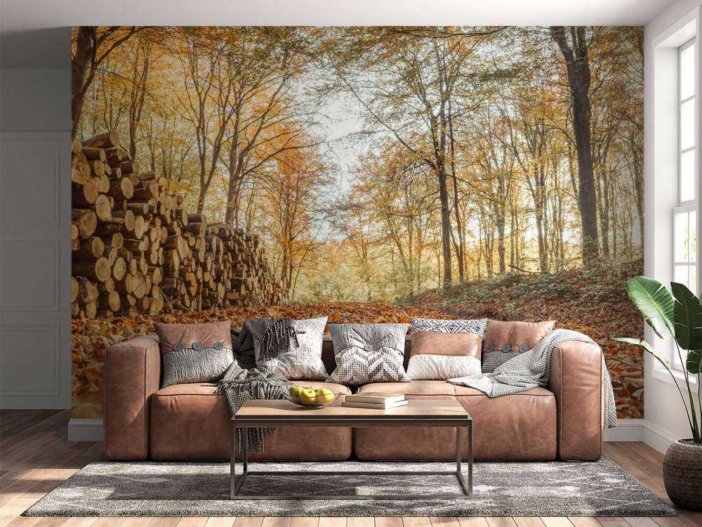 Tronchi d'albero in una foresta autunnale