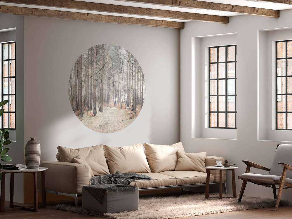 Sentiero sabbioso attraverso la foresta