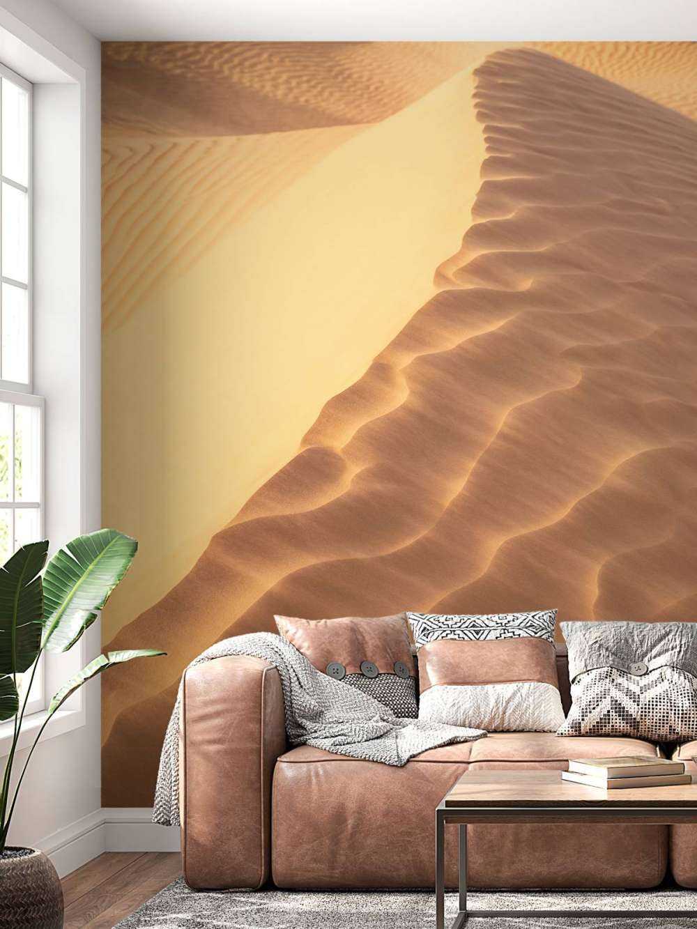 Dune di sabbia dall'alto