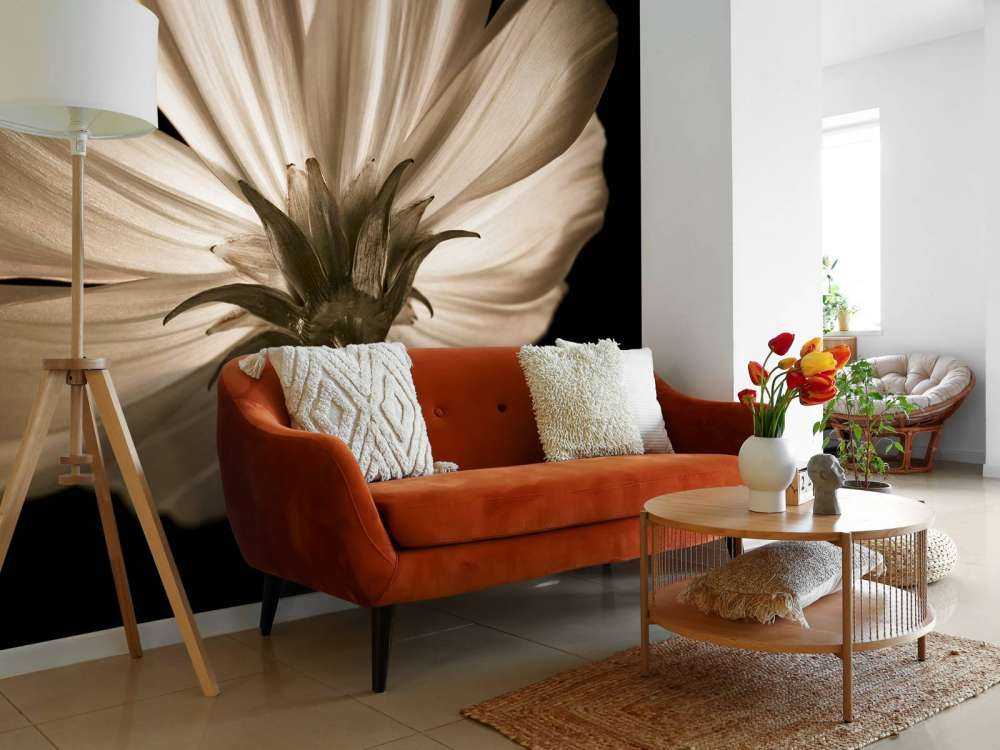 Fiore di cosmo dal basso