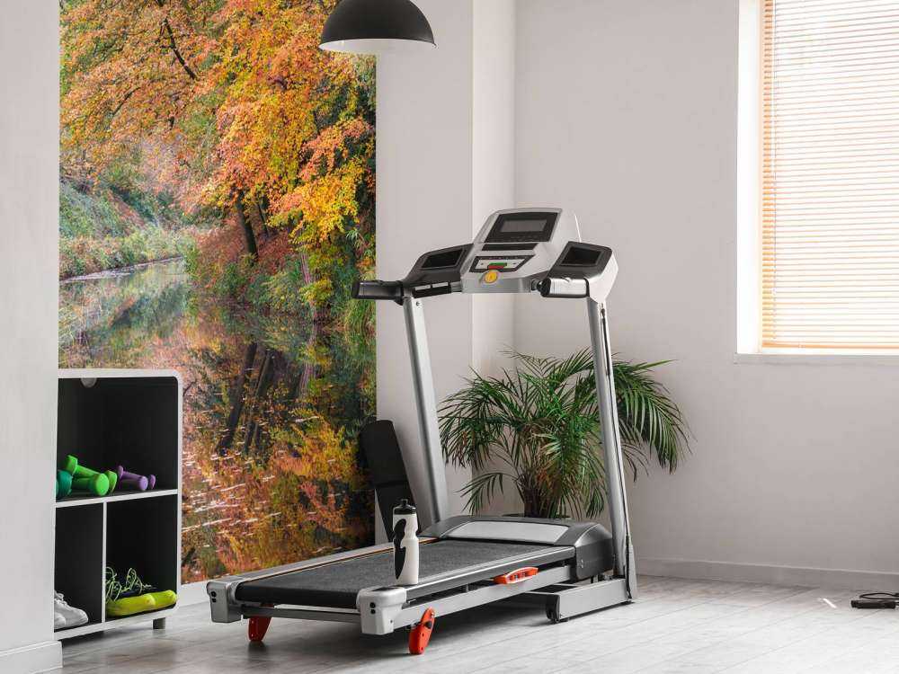 Sentiero lungo il canale