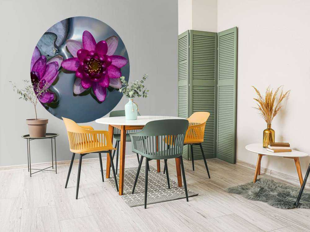 Fiore di loto rosa nell'acqua