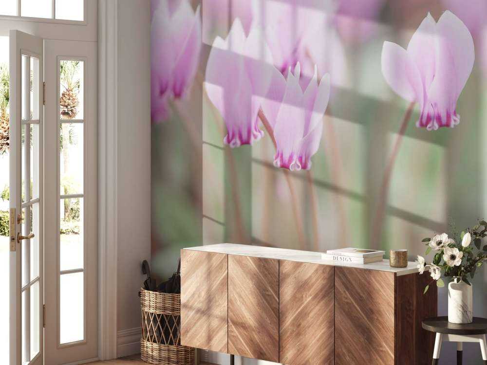 Bellissimi fiori di edera