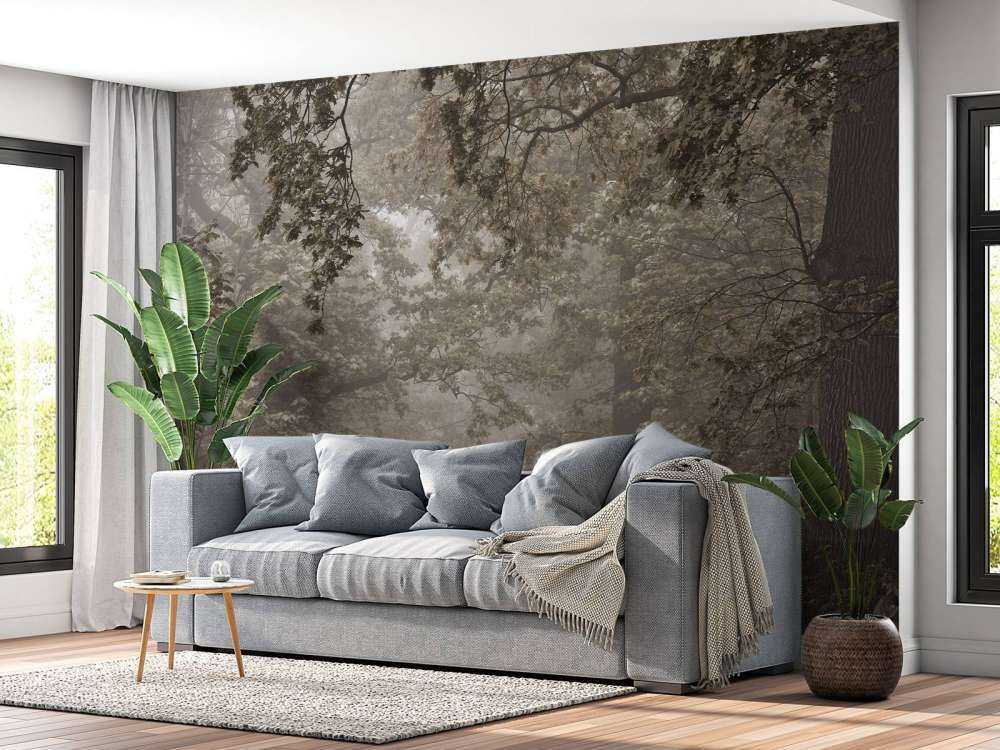 Sentiero attraverso la foresta nebbiosa