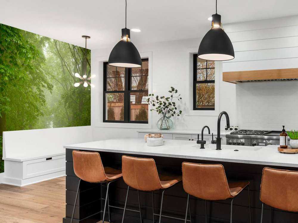 Foresta verde con sentiero nebbioso