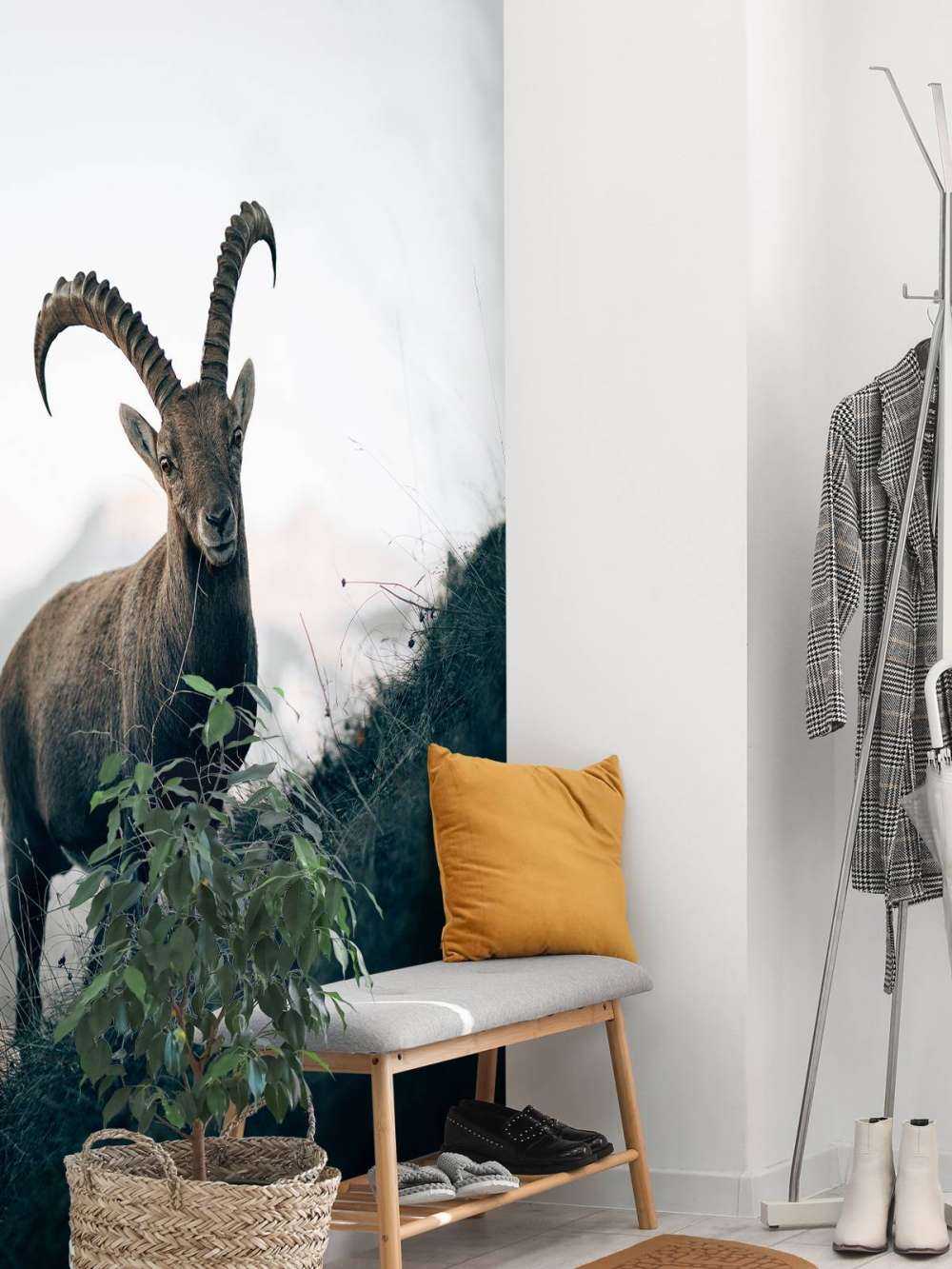 Capricorno in montagna