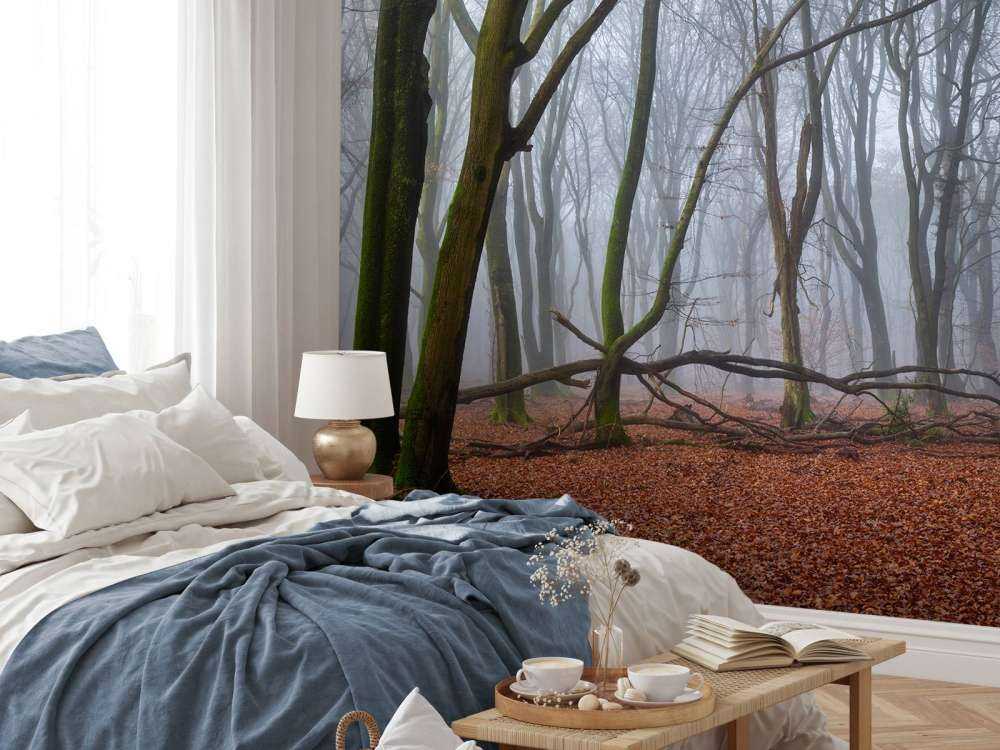 Misteriosa foresta nebbiosa