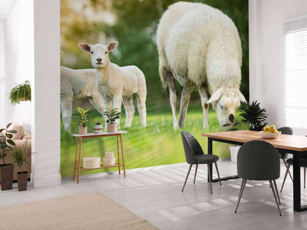 Madre pecora con agnelli