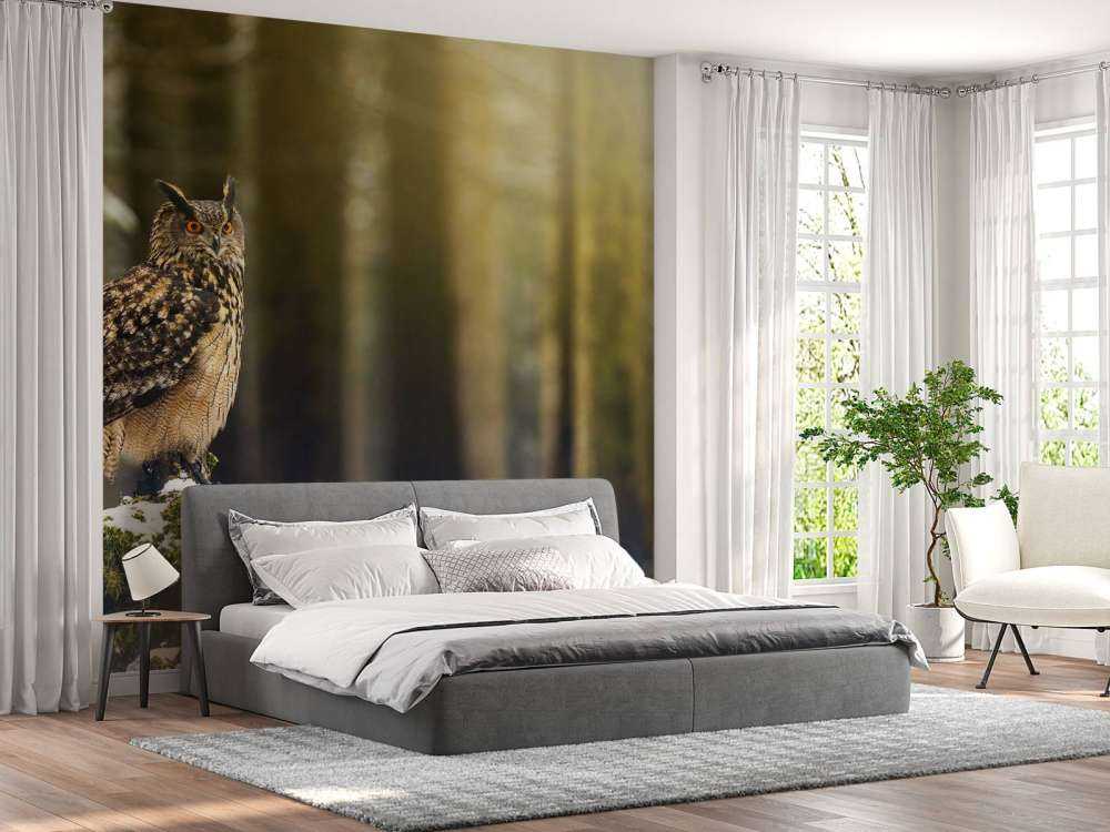 Gufo in foresta innevata