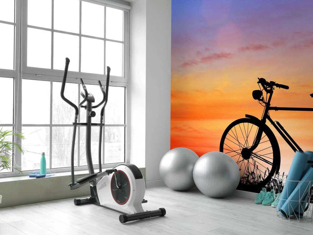 Bicicletta vintage al tramonto