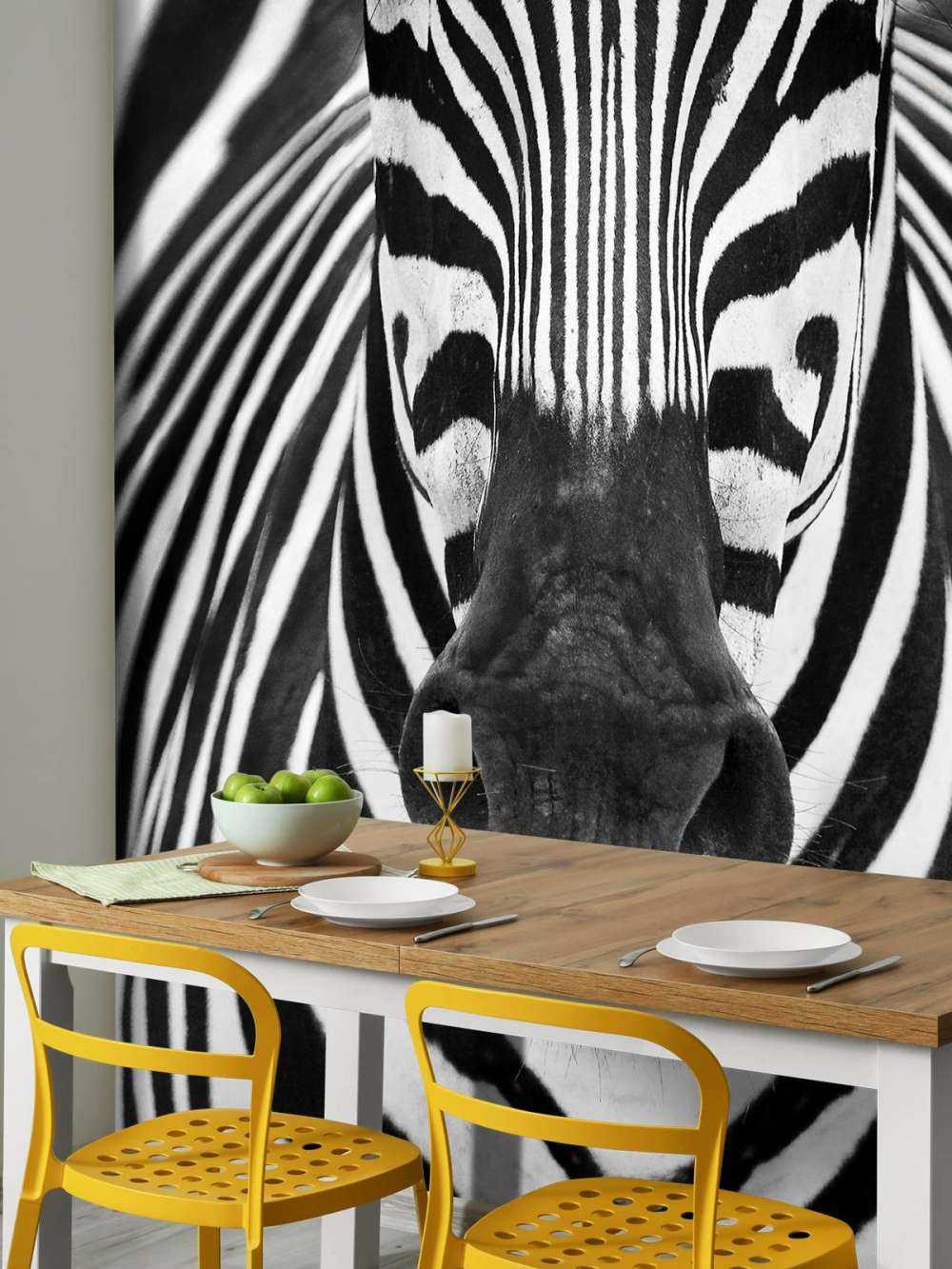 Zebra close-up