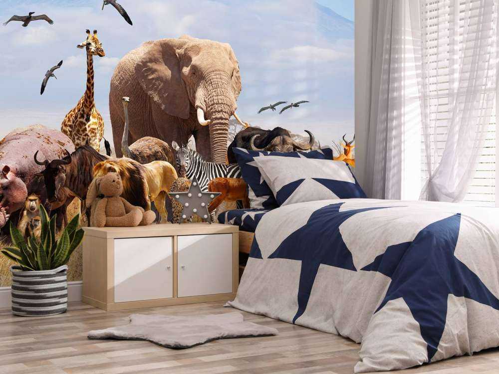 Animali africani sul Kilimangiaro