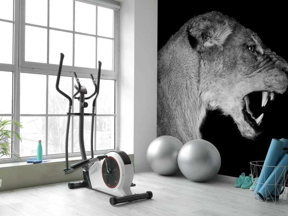 Vista laterale leonessa nera