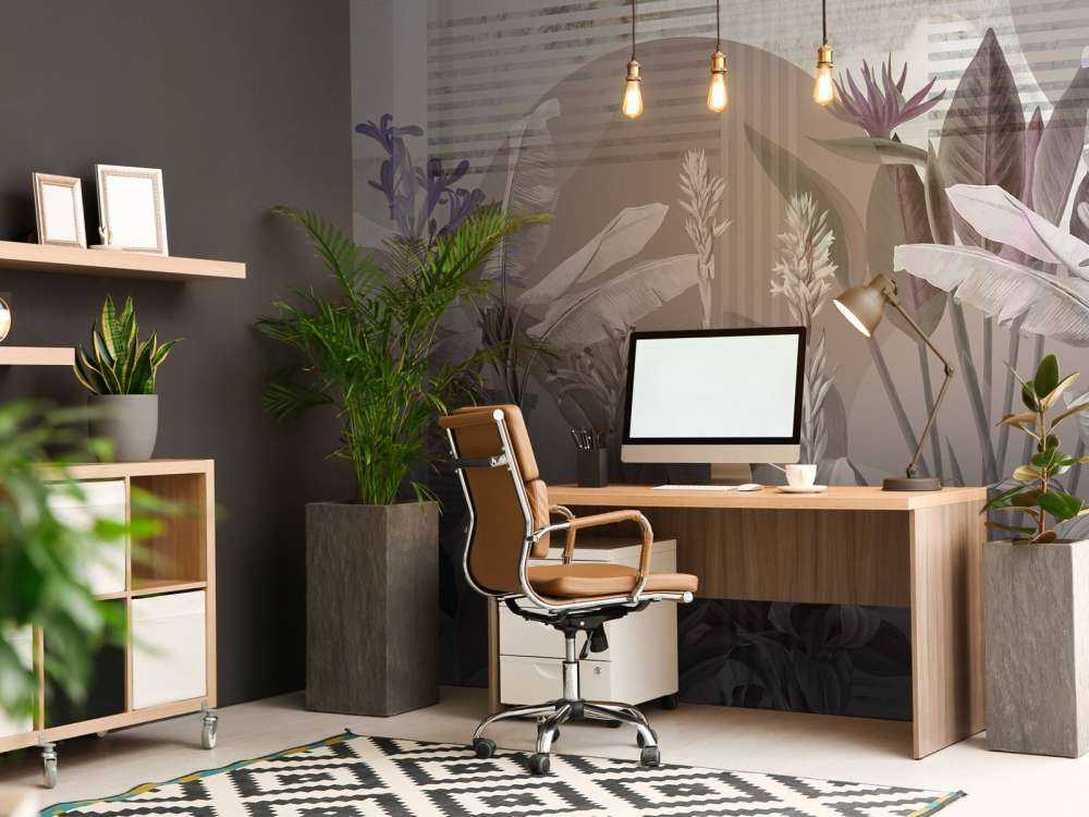 Dreams and Tropics 1