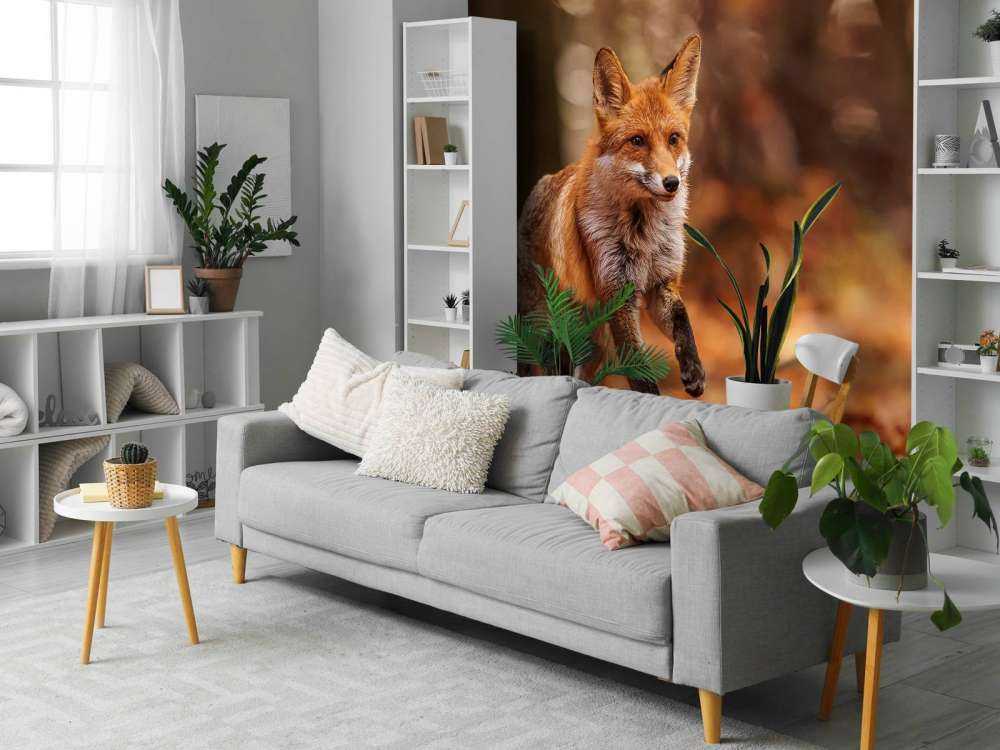 Colpi di Volpe Volo Autunnale