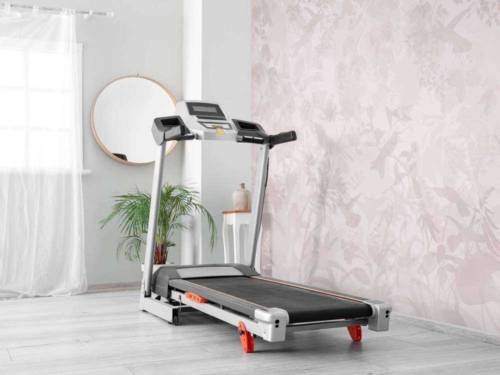 Sinfonia del Giardino in Rosa