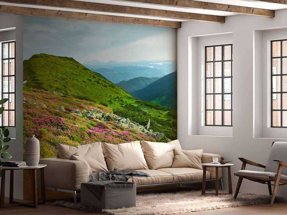 Rododendri in montagna