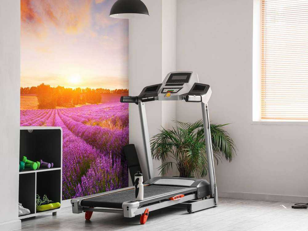 Campo con Lavanda