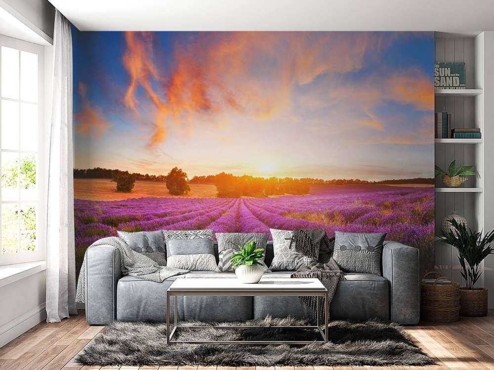 Campo con Lavanda