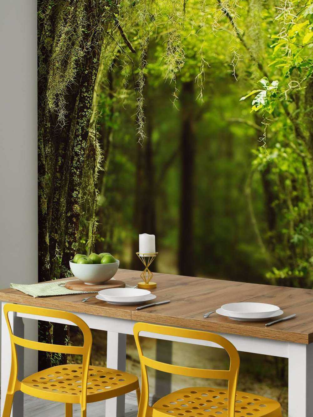 Foresta spagnola piena di muschio