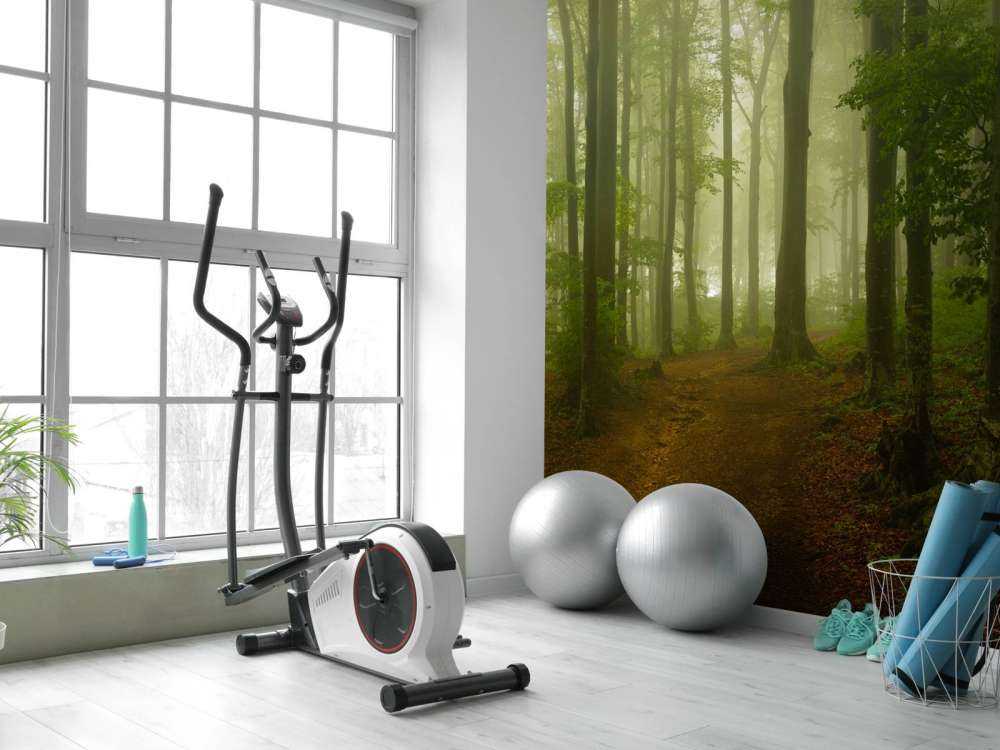 Sentiero attraverso la foresta verde nebbioso