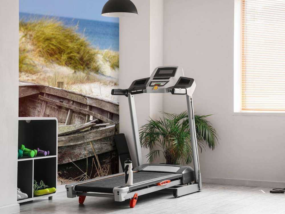 Vecchia barca da pesca, gabbiani, spiaggia e mare