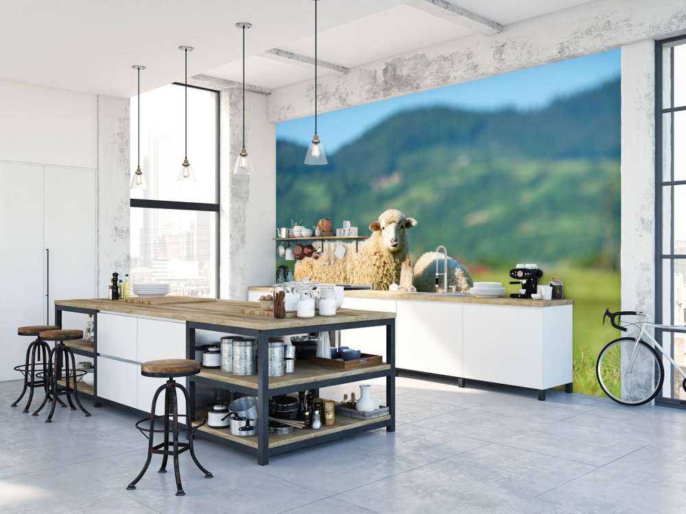 Due pecore al pascolo