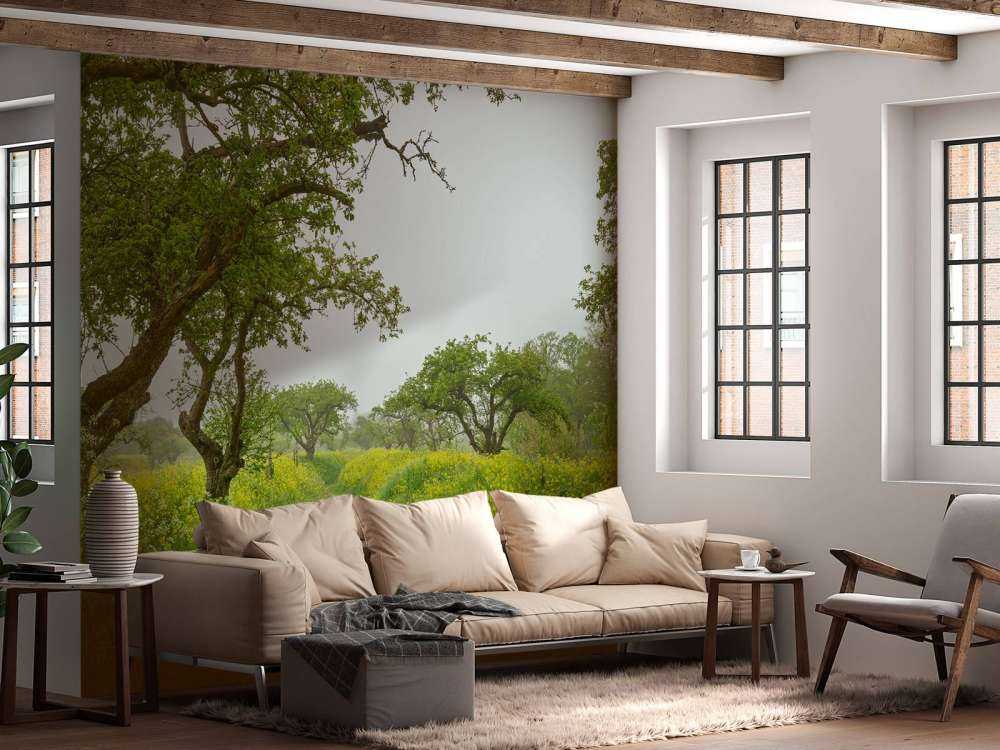 Sentiero attraverso colline con fiori gialli