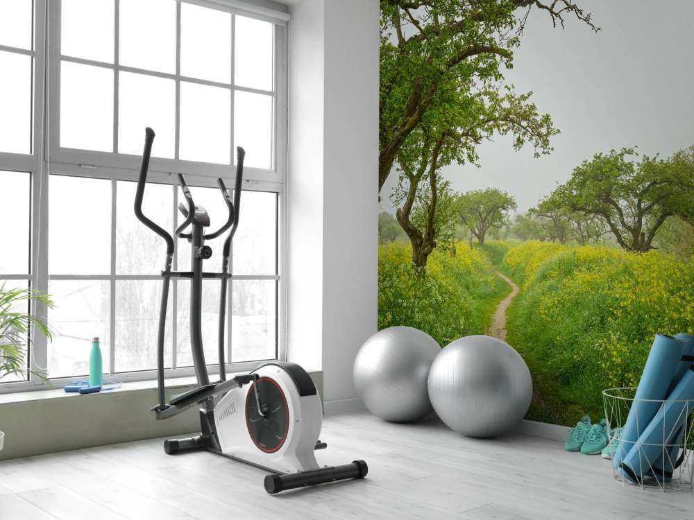 Sentiero attraverso colline con fiori gialli