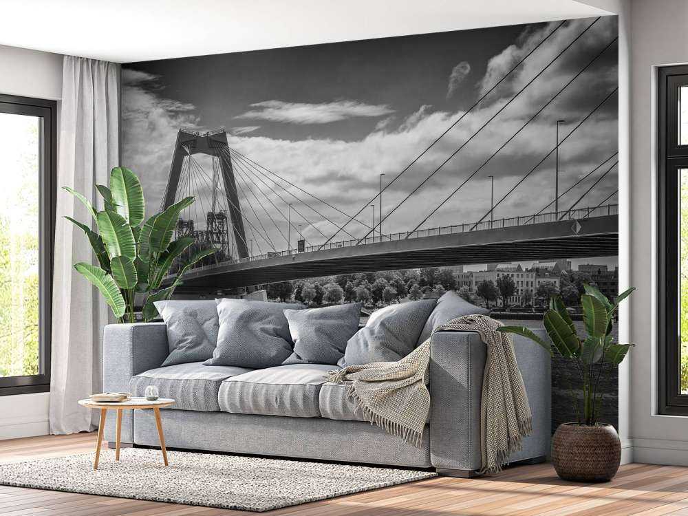 Passaggio del ponte Principe Willem Alexander a Rotterdam in bianco e nero