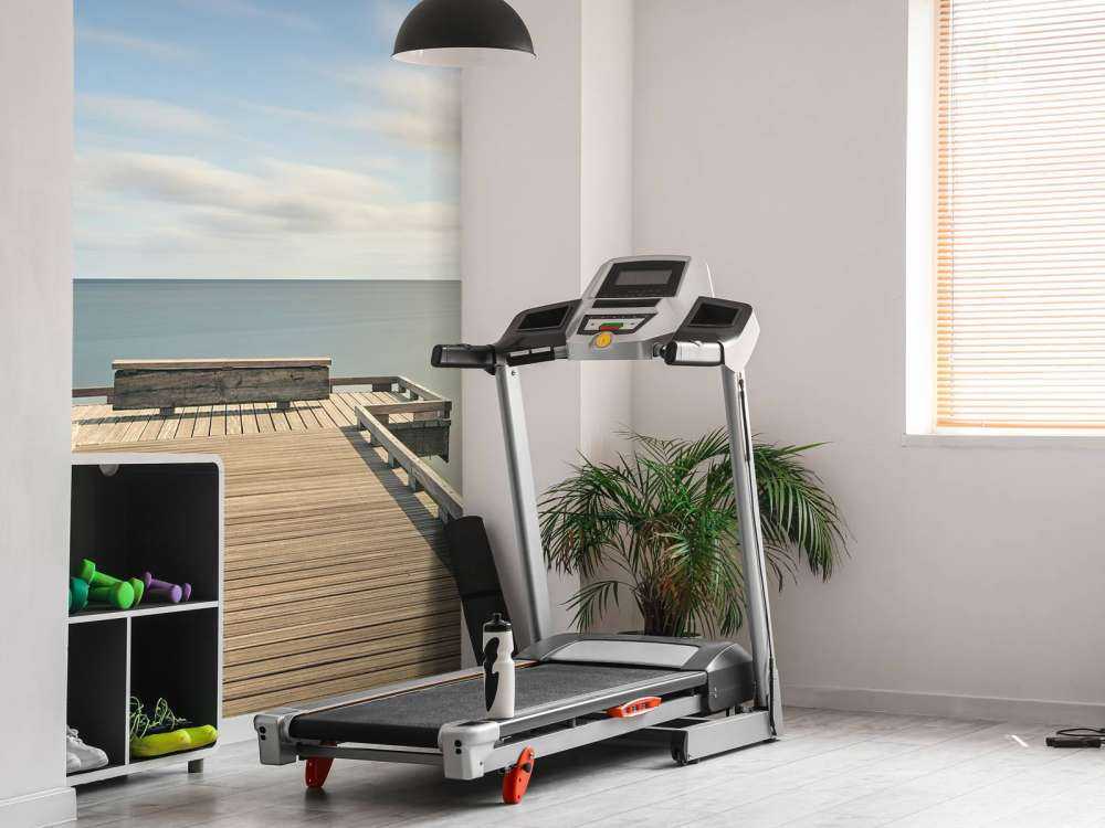 Lungo pontile in legno