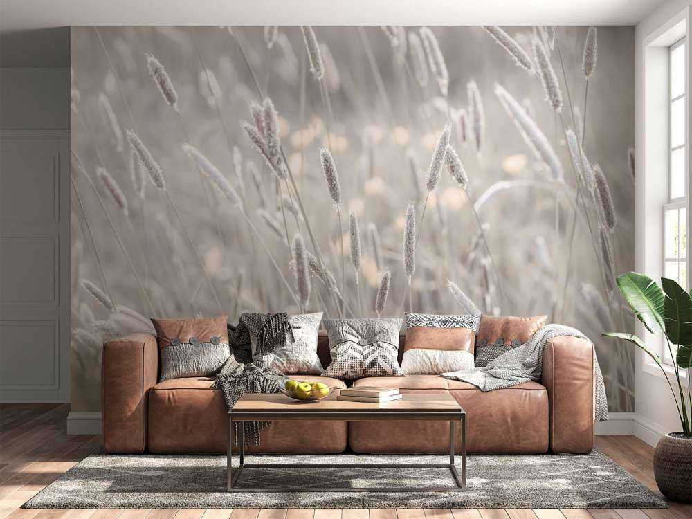 Primo piano di un prato