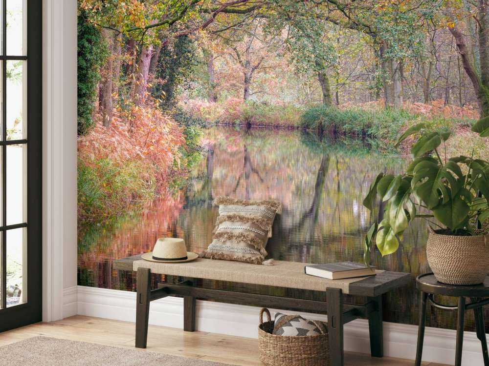 Foresta coperta e colorata