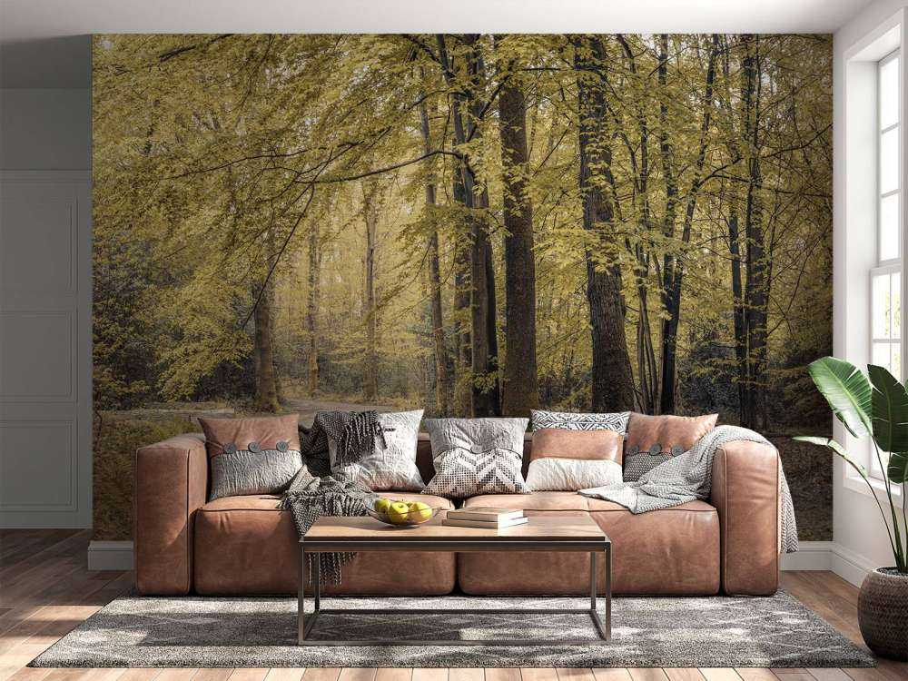 Sentiero nel verde della foresta