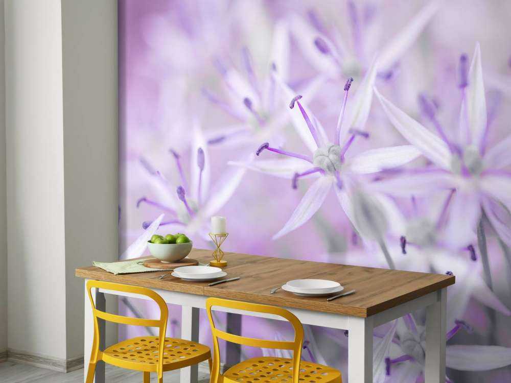 Primo piano di fiori di allium