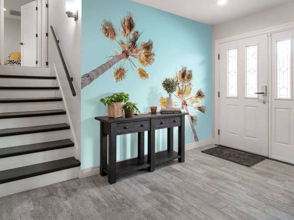 Palme e cielo azzurro