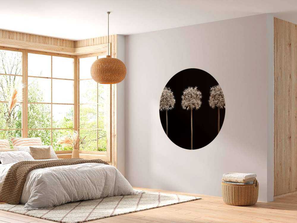 Tre fiori di allium in fila