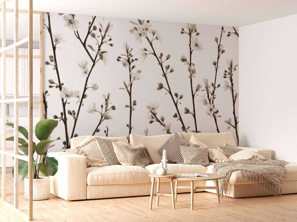 Rami di ciliegio in fiore