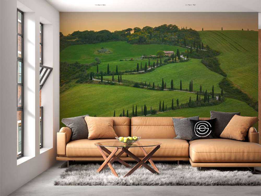 Strada tortuosa con cipressi