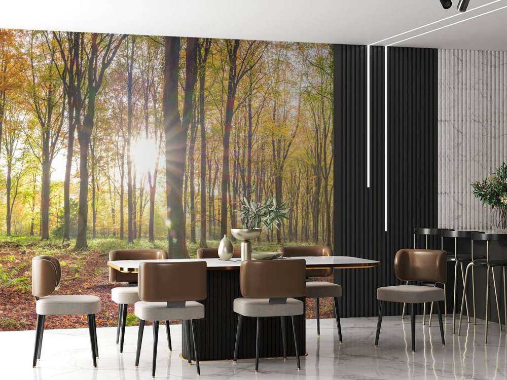 La luce del sole attraverso la foresta autunnale