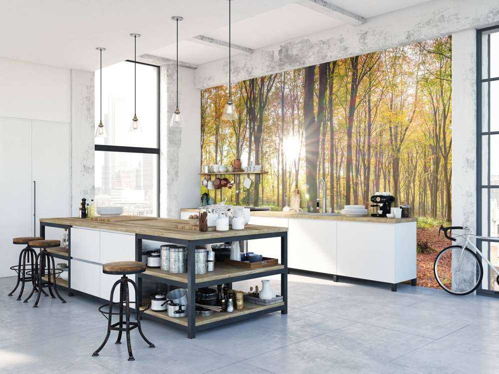 La luce del sole attraverso la foresta autunnale