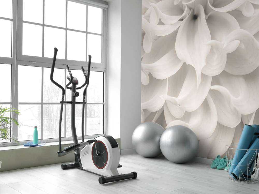 Primo piano di un fiore di Dalia